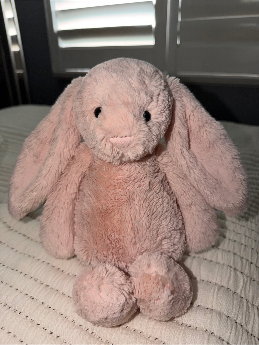 jellycat bashful blush bunny